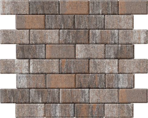 Купити Бруківка 200х100х80 еверест